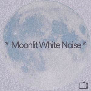 * Moonlit White Noise * - The Background Noise Company