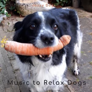 Jazzy Dogs - Music-to-Relax-Dogs