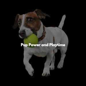 Pup Power and Playtime - Manhattan Jazz Band