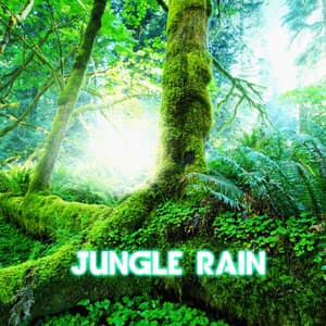 Jungle Rain - Nature Sound