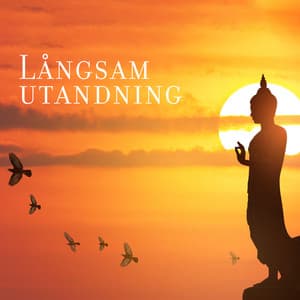 Långsam utandning - Avslappning Musik Akademi