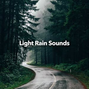 Light Rain Sounds - Rain Sounds Nature Collection