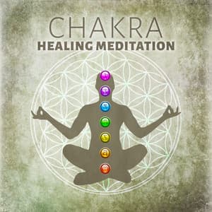 Chakra Healing Meditation: Nature Sounds for Reiki Training, Soothe Mind, Body & Soul, Music Therapy for Relaxation & Inner Balance, Achieve Happiness, Stress Relief - Chakra Relaxation Oasis
