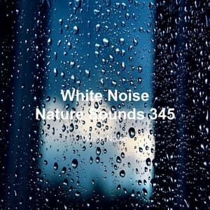 White Noise 345 - White Noise