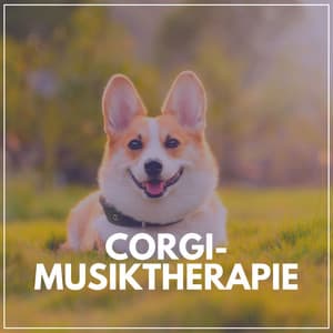 Corgi-Musiktherapie - Hundemusik