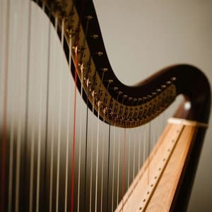 Baby Sleep Orchestra for Peaceful Dreams - Miguel Johnson