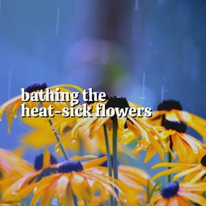 Bathing the Heat-sick Flowers - Rain Sounds for Sleep Aid