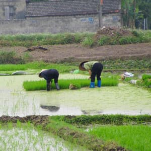 Binaural Workday Rain Symphony Session - Binaural Beats Work Music