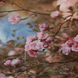 Romantic Flowers - Axelites