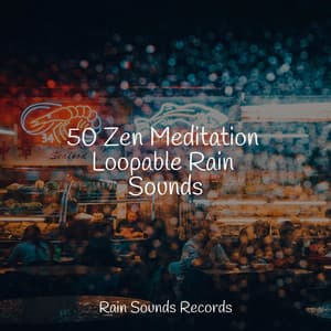 50 Zen Meditation Loopable Rain Sounds - Sleep Baby Sleep