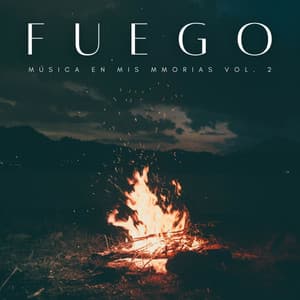 Fuego: Música En Mis Memorias Vol. 2 - Sonidos de chimenea