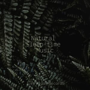 Natural Sleep-time Music - Dog Music