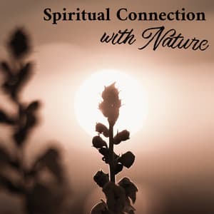Spiritual Connection with Soothing Airflow - Elliot Woods