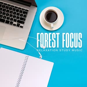 Forest Focus: Concentration Music - Relaxation Study Music