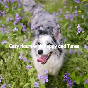 Cozy Hours with Puppy and Tunes - No Box Sounds
