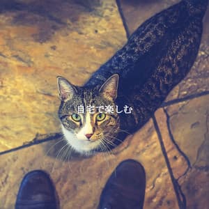 自宅で楽しむ - Music for Retail Greats