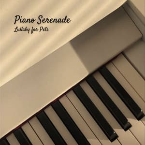 Piano Serenade: Lullaby for Pets - Piano Jazz Bar
