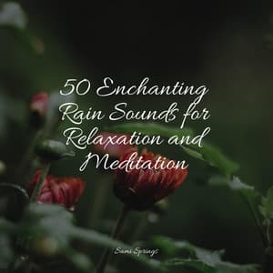 50 Enchanting Rain Sounds for Relaxation and Meditation - Deep Horizon Waves