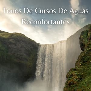 Tonos De Cursos De Aguas Reconfortantes - Cascadas Relajantes