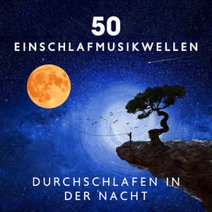 50 Einschlafmusikwellen: Durchschlafen in der Nacht, Ruhige Entspannungsmusik bei Schlafstörungen, Natürliche Einschlafhilfen, Therapieklänge für besseren Schlaf in der Nacht - Baby Schlafmusik Akademie