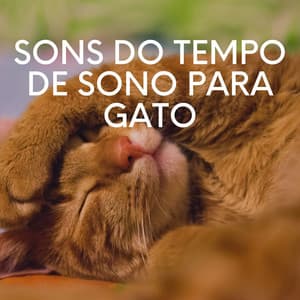Sons do Tempo de Sono para Gato - Musica para Gatos