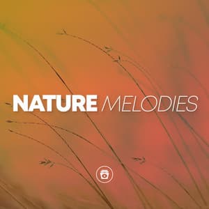 Nature Melodies - Sounds Of Nature
