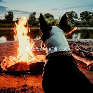 あなたが大好きな犬 - Coffee Shop Chill Out Beats