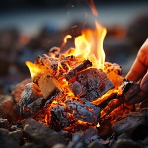 Música Relajante: Flujo De Yoga Acariciado Por Las Llamas - Sonido Del Bosque y Naturaleza