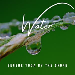 Ripple of Relaxation: Yoga Soundscapes by the Shore - Motivation Songs Academy