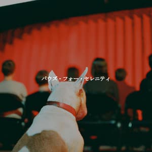 パウズ・フォー・セレニティ - Coffee Lounge Jazz Band Chill Out