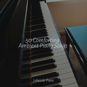 50 Comforting Ambient Piano Songs - SD