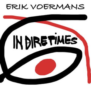 In Dire Times - Erik Voermans