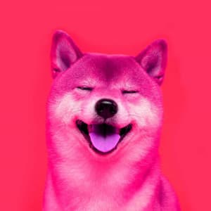 Music for Morning Dog Time - Dog Anxiety Music