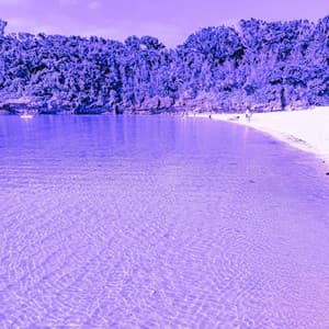 Feelings for Private Daydreams - Música para Hoteles Lujo