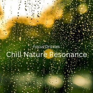 Focus Drizzles: Chill Nature Resonance - Soft Music