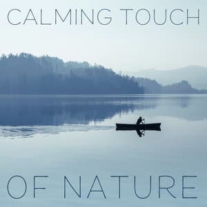 Calming Touch of Nature: Unwind After Stressful Day - The Calming Sounds Of Nature
