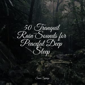 50 Rain Sounds for Meditation - The Sleep Helpers