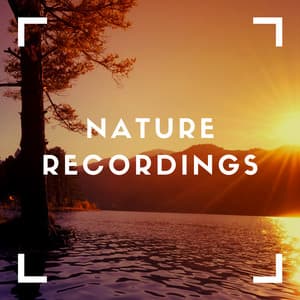 Relaxing Nature Feels - Natural Sample Makers