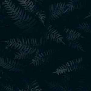 Music for Yoga - Lluvia