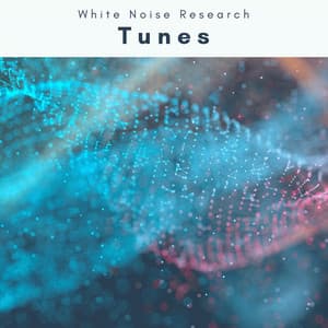 2022 Tunes - White Noise Research