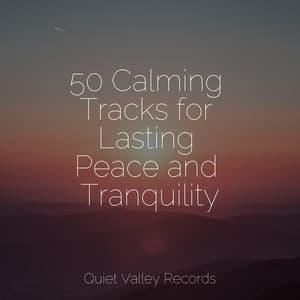 50 Calming Tracks for Lasting Peace and Tranquility - Massagem Coleção de Músicas