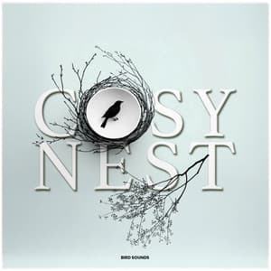 Cosy Nest - Bird Sounds