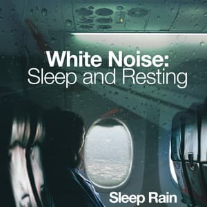 White Noise: Sleep and Resting - Sleep Rain