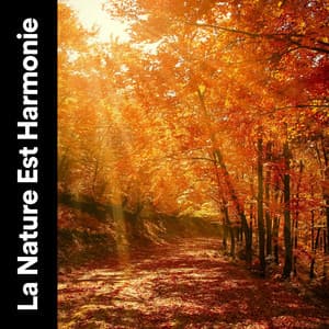 La Nature Est Harmonie - Nature Sounds - Sons de la nature