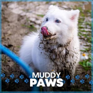 Muddy Paws - Dog Music