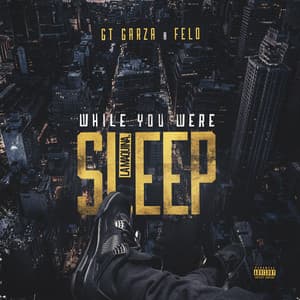 While You Were Sleep - GT Garza