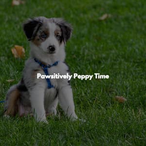 Pawsitively Peppy Time - Relaxing Coffee Shop