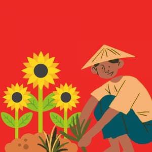 Acoustic and Electric Bossa Piano Duo - French Cafe Jazz Chill