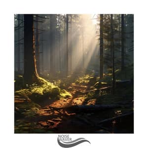 Meditative Melodies - Sonic