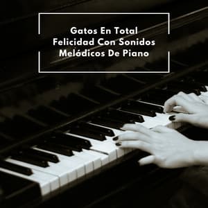 Gatos En Total Felicidad Con Sonidos Melódicos De Piano - Relajante Piano Jazz